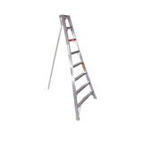 14 ft. Orchard ladder