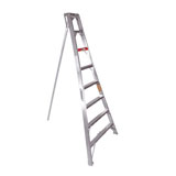 16 ft. Orchard ladder